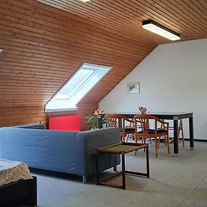 Big Cozy Entire Family Apartment